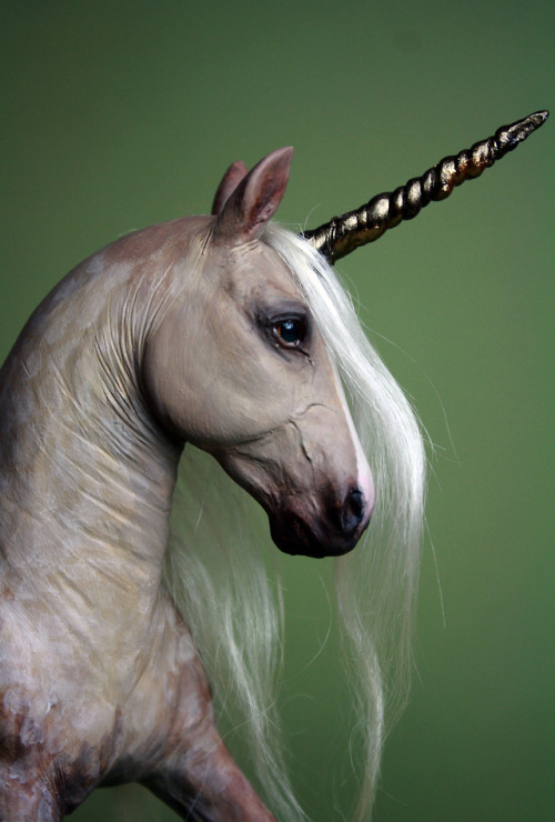 Fantasy equine sculptures by Quequinox Art. See my etsy store for current sculptures for sale!