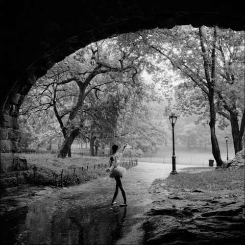 digbicks:   The Ballerina Project, Dane Shitagi  