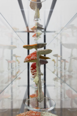 nybg:  artruby:  Carsten Höller.   Carsten Höller holds a doctorate in agricultural science and other fun facts I learned about this contemporary artist with an obsession for fly-agaric mushrooms by reading Wikipedia. ~AR
