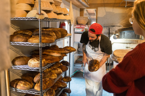 Francis Bread, Salt Spring Island, BC