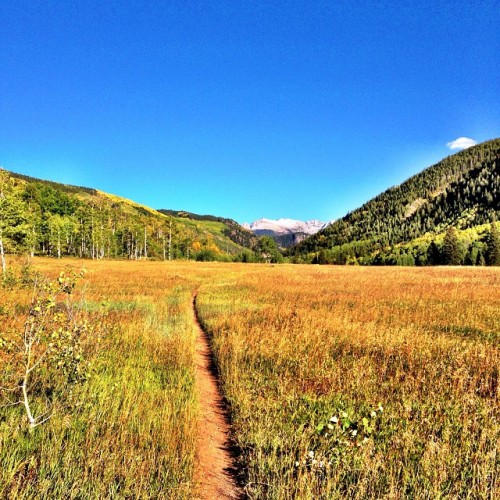 Fall in all of its splendor in #Aspen for #themeeting9. The best part: there’s snow on the peaks and more on its way! (at Aspen, CO)