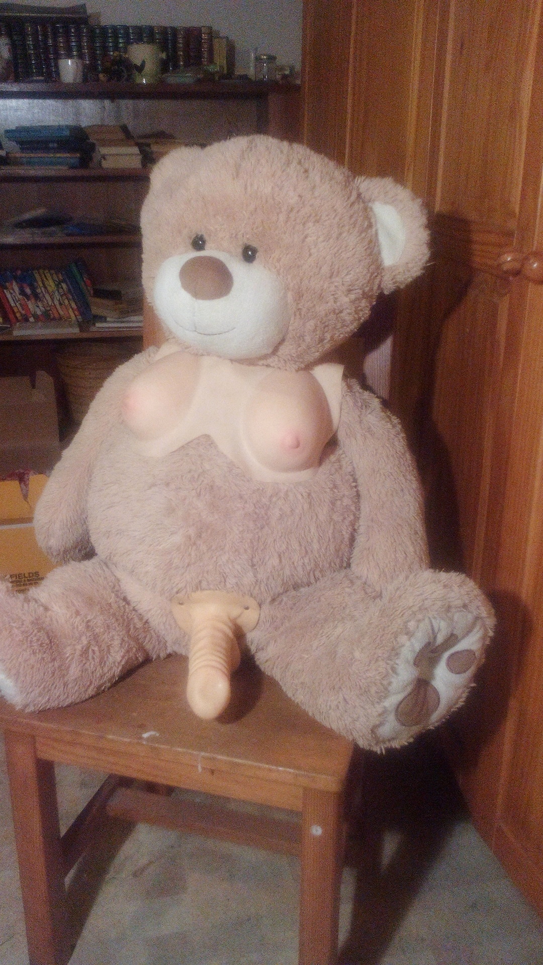 Schwein mit Transenteddy