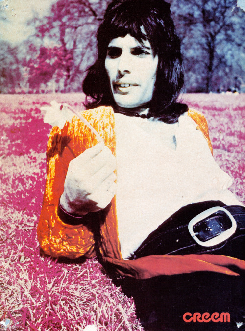 Freddie Mercury di Tompico Posterlounge Stampa su Vetro Acrilico 50 x 70 cm 