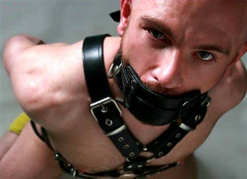 bondageforthebigman:Piercing.