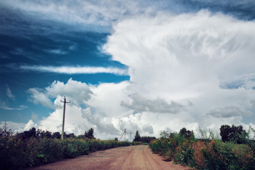 englishsnow:   Dmitry Savin 