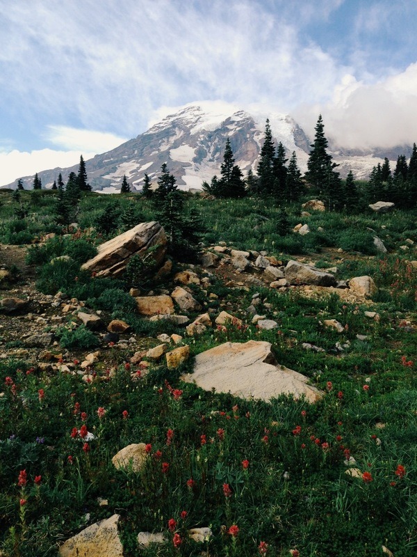 melodyandviolence:  Mt Rainier National Park, Washington by  KEVIN RUSS    
