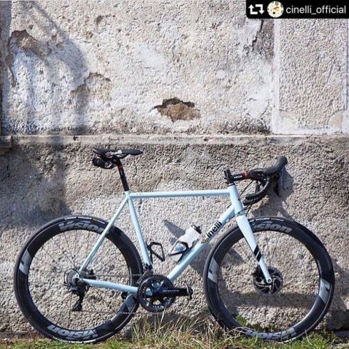 thecyclingbarrister:@cinelli_official #nemo tig #disc #110piurpm #catania #cinellifamily #cinellison