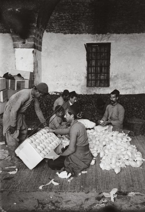 khaste-irooni:  Fruit seller in Jaffa, Palestine early 20th century 