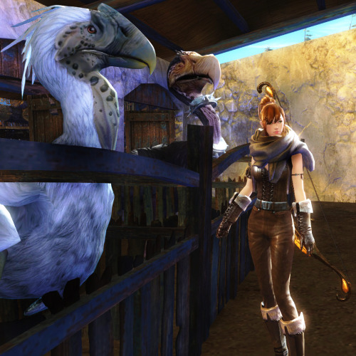 amee-gw2:  Manwë with her Moas, Nino and Pino. 