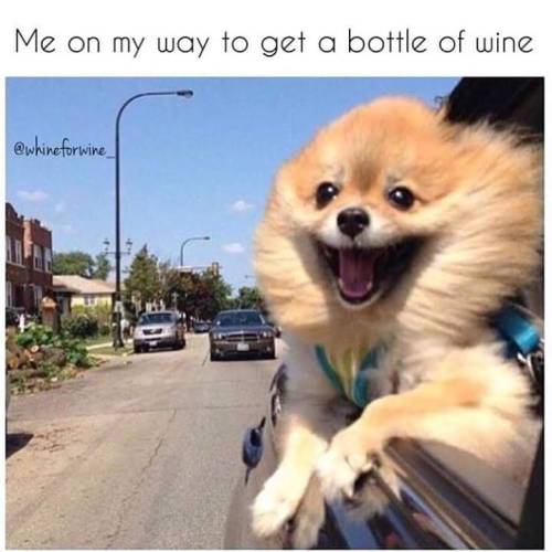 Accurate!