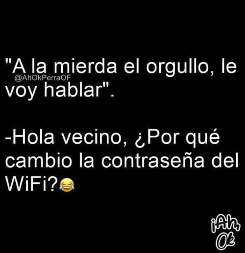 Sofea-00