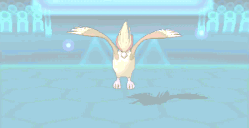 carbink:Mega Pidgeot (x)