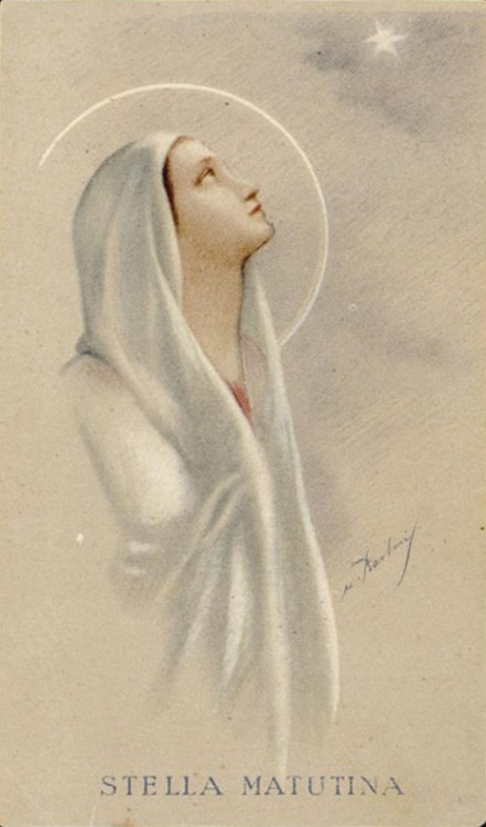 theraccolta:Mary under her various titles: Mother of Our Savior, pray for us! Virgin Most Faithful
