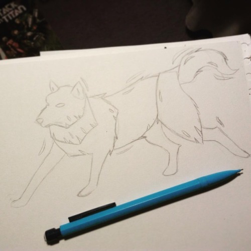 First Step Of The Process Into Making My Wolves Is A Sketchy Outline Using A Reference Image And Then