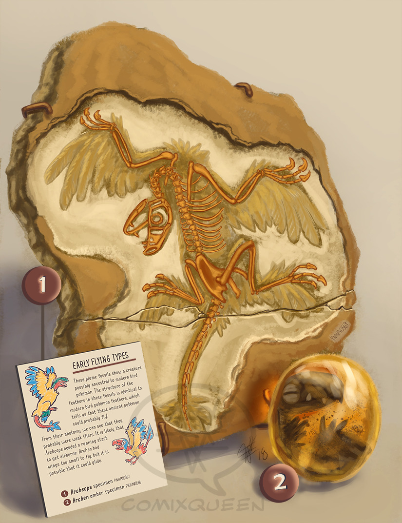 Archeops fossil