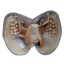 littlehomeofheavnly
