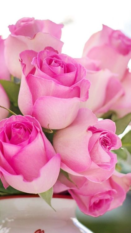 Flower vase, pink roses, fresh, 720x1280 wallpaper @wallpapersmug : https://ift.tt/2FI4itB - https:/