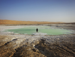 plizm:  In The Sea of Silence, 2013Marina Abramović 