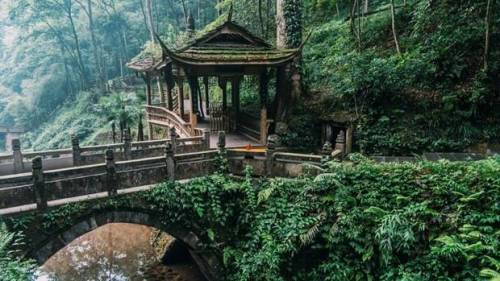 fuckyeahchinesegarden:青城山 Qingcheng Mountain in Sichuan province