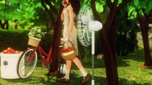 Sora At The Apple Orchard In Wakaba