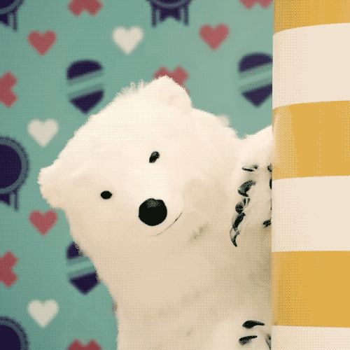 oceanmaster:  Protect Kyary Pamyu Pamyu’s Polar Bear friend at all costs. Tumblr’s GIF upload is actually behaving for once, what the fuck