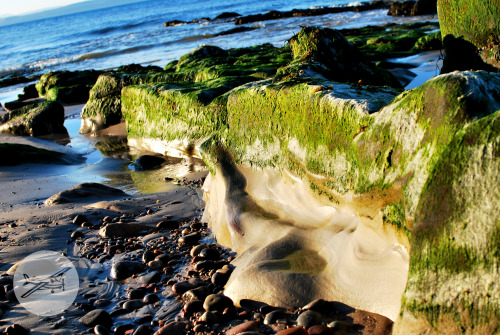 studentabroad:On the Coast of the North Sea, Nairn, Scotland.More Travel Adventures at Student Abroa