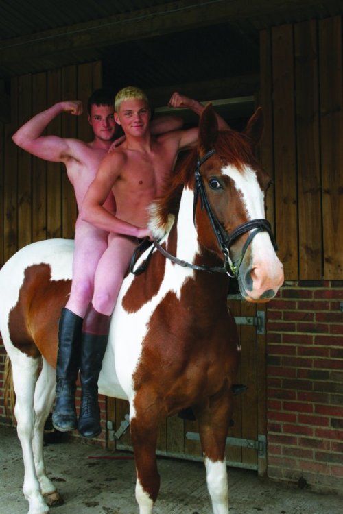 wrestleson: That is so hot. Naked cowboys riding bareback on there horse. WOOF