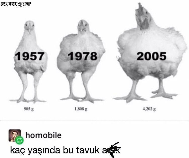 erkek mantığı nasıl mı...