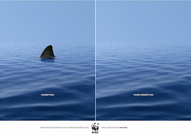 jedavu:  POWERFUL ANIMAL AD CAMPAIGNS
