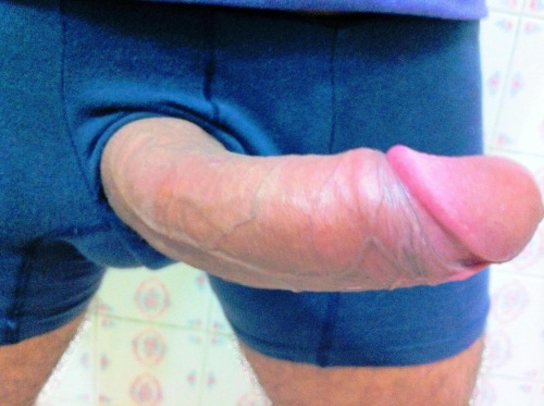 GaY-88
