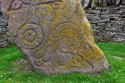 The Serpent Stone, Aberlemno Pictish Stones, Aberlemno, Angus, 20.5.18.On the front of this stone is