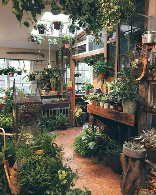 thebedroomdreamers:Home  I  Plants | Spaces | Room Ideas | follow    @thebedroomdreamersx more here 