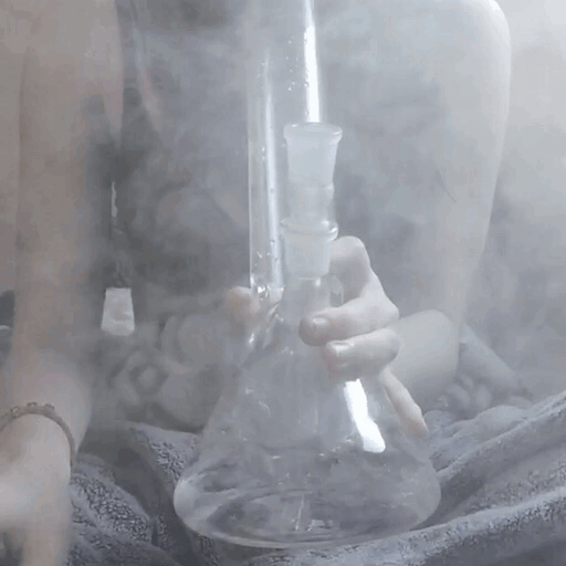 queenjam:  Breaking this bad boy in💨💚