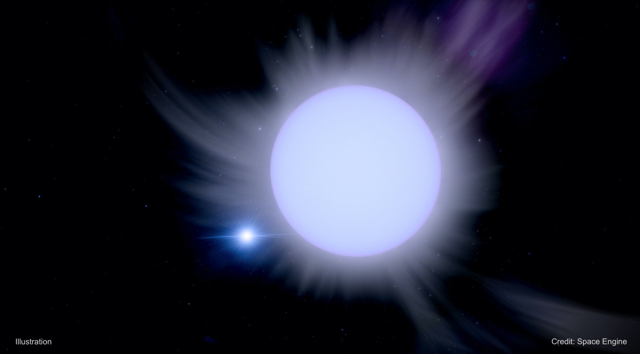 Bir illüstrasyon, gökbilimcilerin yüksek kütleli bir yıldız ve yıldız kütleli bir kara delik içeren ikili bir sistemde neler olduğunu düşündüklerini gösteriyor. Büyük, mavi-beyaz bir yıldız, hemen solunda parlak bir nesne ile çevresinden "rüzgar" telleri yayar. Parlak nesne, yıldızın rüzgarından toplanan ve içeri düşmeden önce kara deliğin etrafında dönen parlayan malzeme diskidir.