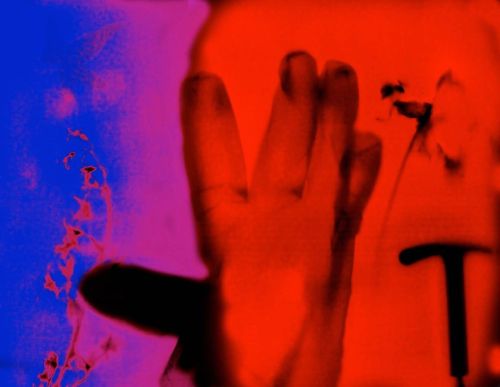 You need hands #photogram #colour #alternativeprocess #alternativephotography #fineart #photographic