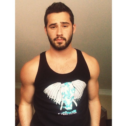 jsantagato:  Elephants.