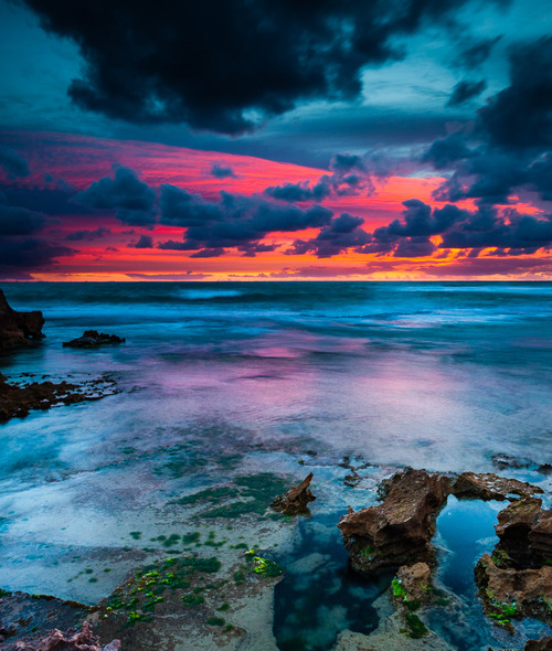 bluepueblo:  Sea Sunset, Australia photo via optically 