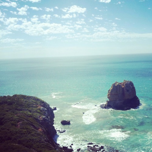 ca-radelevigne:  ☯rosy princess☯ 