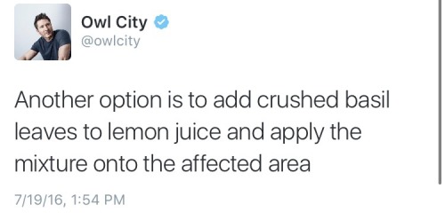 i-am-morrigans-apprentice:naturaldaisaster:nothing is quite as Good and Pure as owl city trying to p