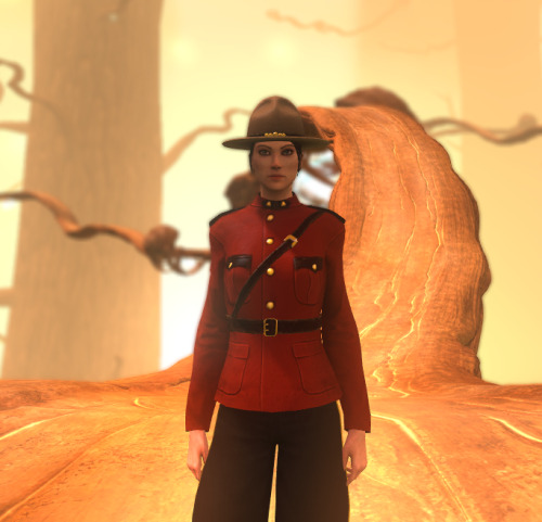 Mountie - Campaign hat, tanMountie - Red Serge jacketMountie - Breeches with gold strapping, dark gr