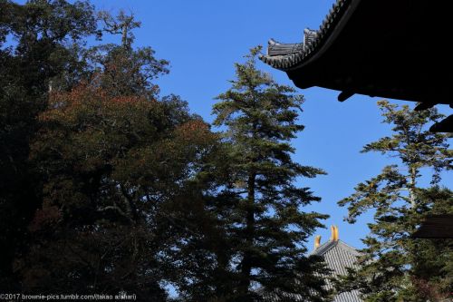 ‘21.10.30 東大寺二月堂、戒壇堂、大仏池付近、鐘楼にておぢさんズの小さい秋見つけるツアー2021、そろそろラストです。二月堂の後缶コーヒー休憩を挟んで、静かな戒壇堂～大仏池付近を散