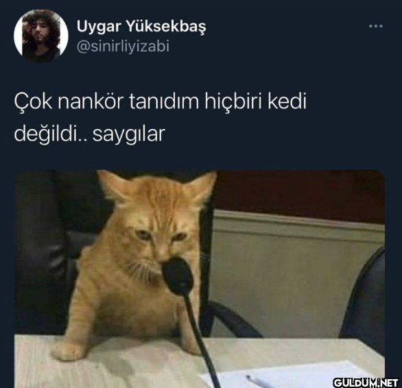 Uygar Yüksekbaş...