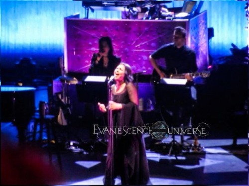 The only half decent shots I managed to get at Evanescence Synthesis Live as the Royal Festival Hall