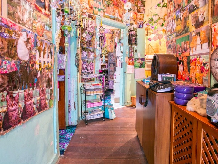 terriblerealestateagentphotos:  I won’t come in thanks, I’m allergic to craziness.