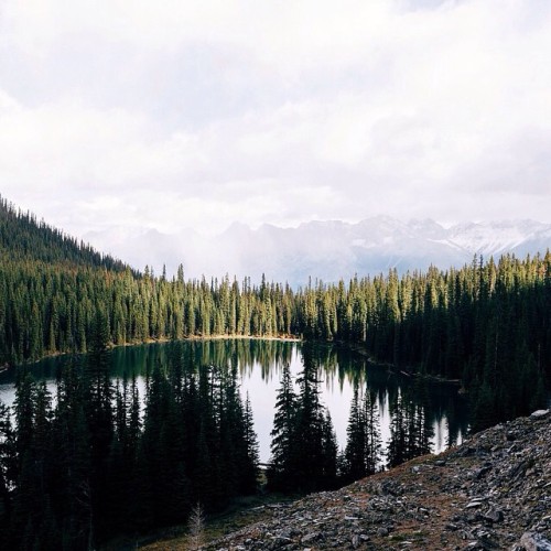 eartheld:  folklifestyle:  Photo by @mattlowden #wanderfolk  (at liveauthentic.us)  mostly nature
