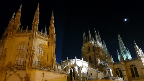 CATEDRAL DE BURGOS (Explore) by JAVIER_GALLEGO Vista exterior desde la cabecera. Todo un espectáculo