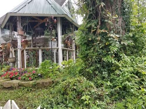 algaebloom - pretty little green gazebo full of wind chimes