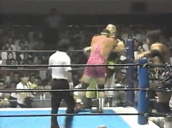 wrestlingchampions:  Champion vs. Champion: The Steiner Brothers (WCW World Tag Team) d. Big, Bad and Dangerous (IWGP Tag Team) to  win the IWGP Tag Team Championship - NJPW Masters of Wrestling 1992 