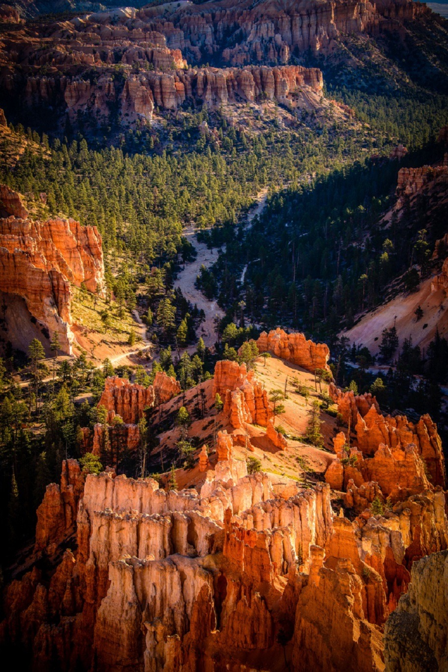 sublim-ature:  Bryce Canyon, UtahMiles Smith 