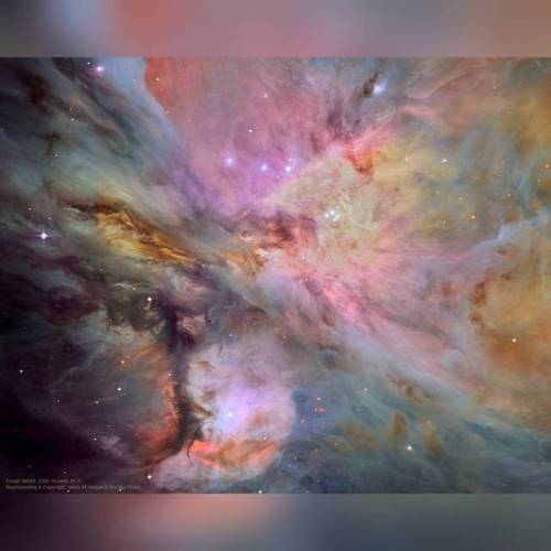 Dust, Gas, and Stars in the Orion Nebula #nasa #apod #esa #hla #hubble #hubblespacetelescope #orion #nebula #orionnebula #m42 #gas #dust #stars #star #constellation #starcluster #trapezium #stellarnursery #hydrogen #proplyds #interstellar #intergalactic